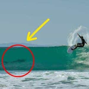 Surfers Share Wave with Great White Shark at Surfing Competition