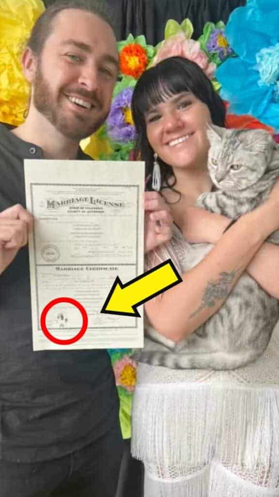 cat acts as witness at wedding in colorado