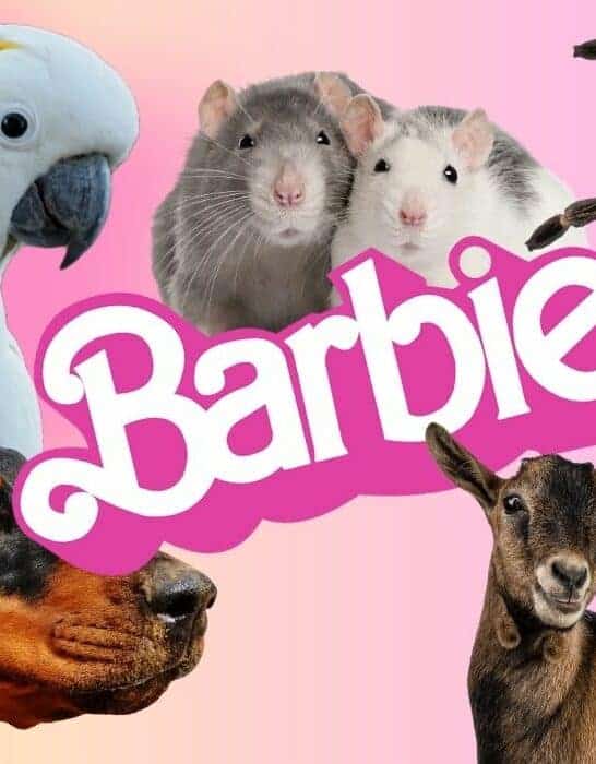 The Ultimate List of the Cast of Barbie’s Pets