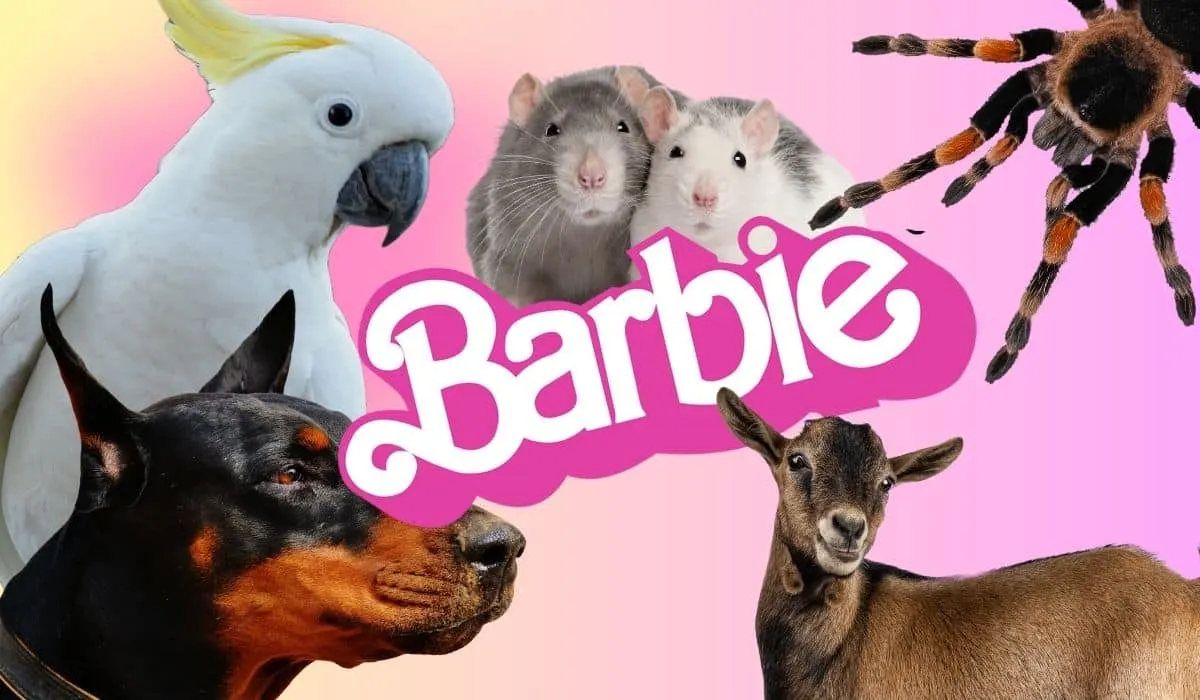 pets of the barbie cast