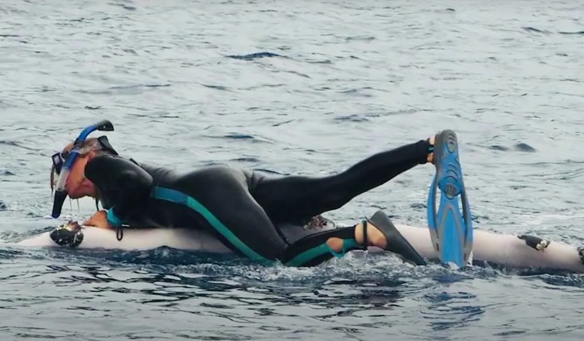 whale saves woman from shark