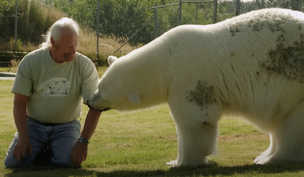 Man bonded with a polar bear