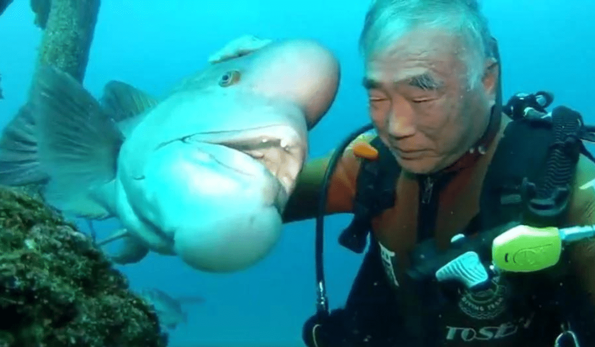 25 Years of Unlikely Friendship Man and Fish