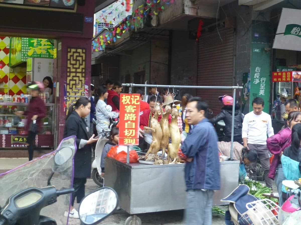 food stall selling dog meat 