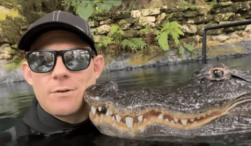 Meet The Affectionate Alligator and His Keeper