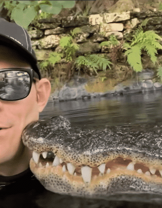 Meet The Affectionate Alligator and His Keeper
