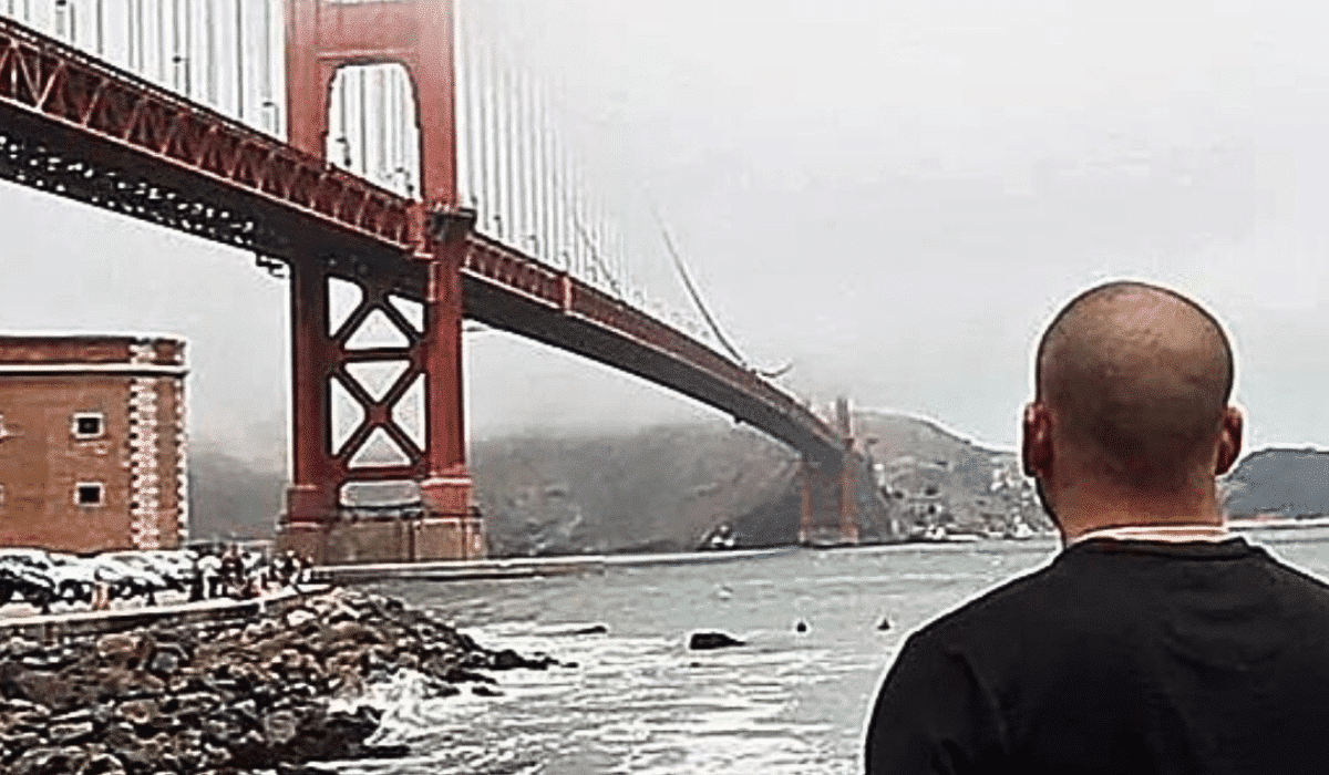 Sea Lion Saves A Life At Golden Gate Bridge