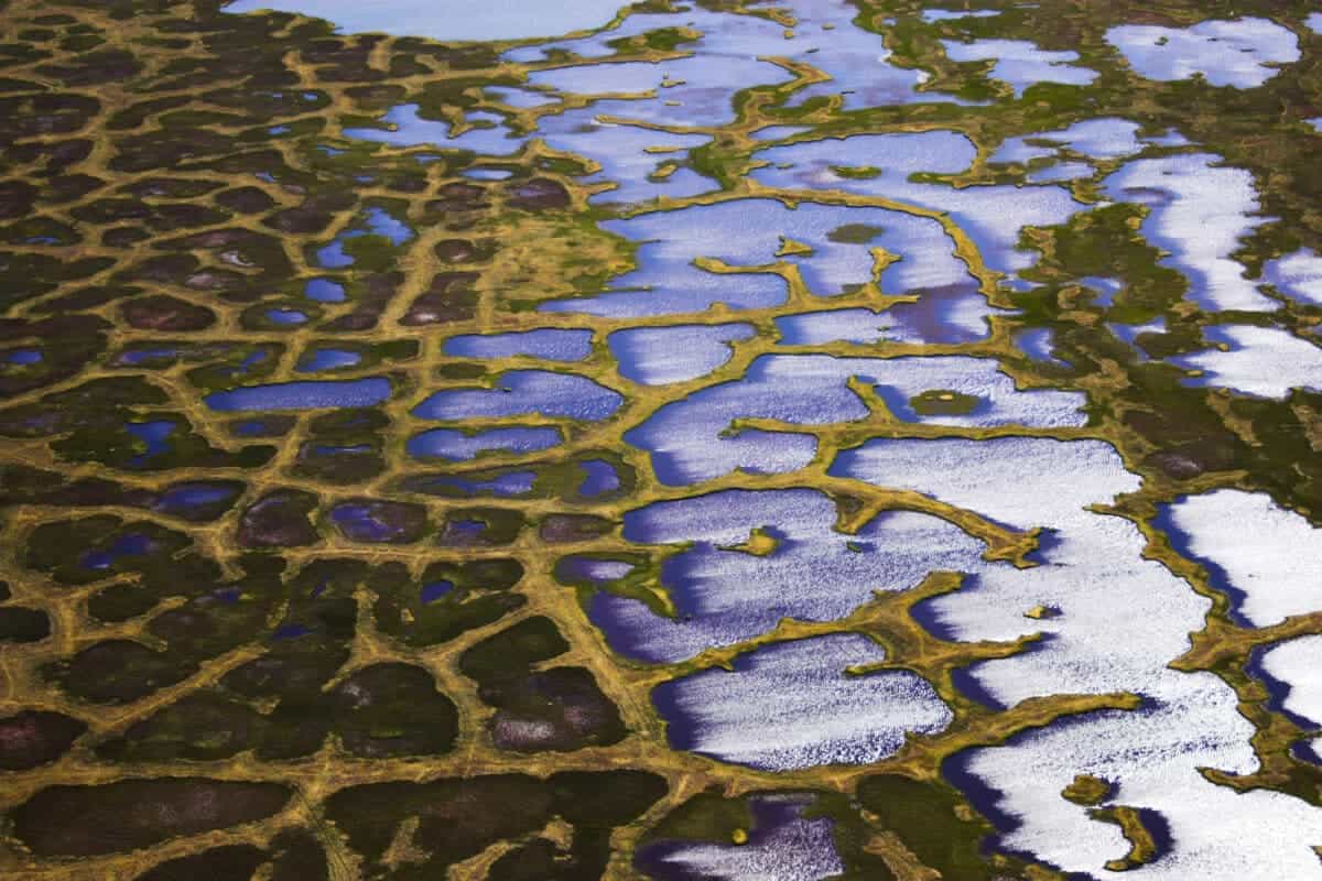 siberian permafrost