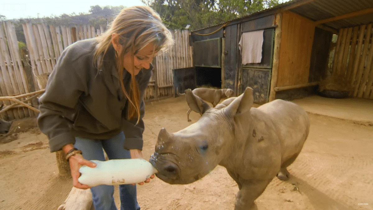 Baby Rhino