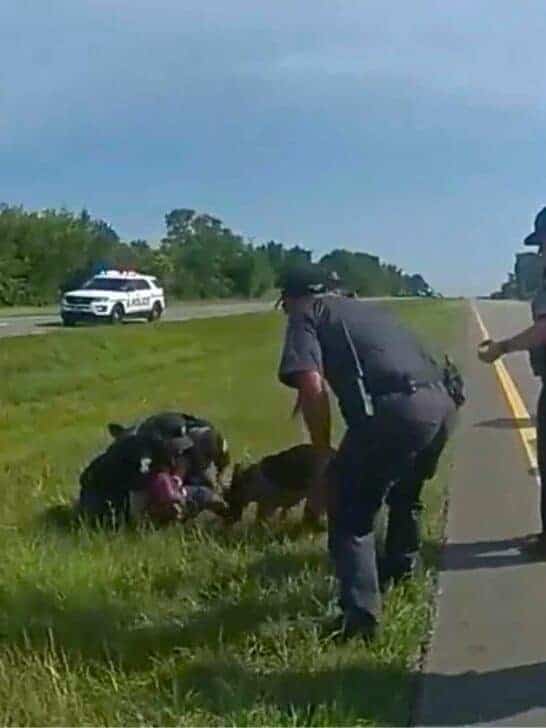 Ohio Officer Fired After Police Dog Attacks Truck Driver