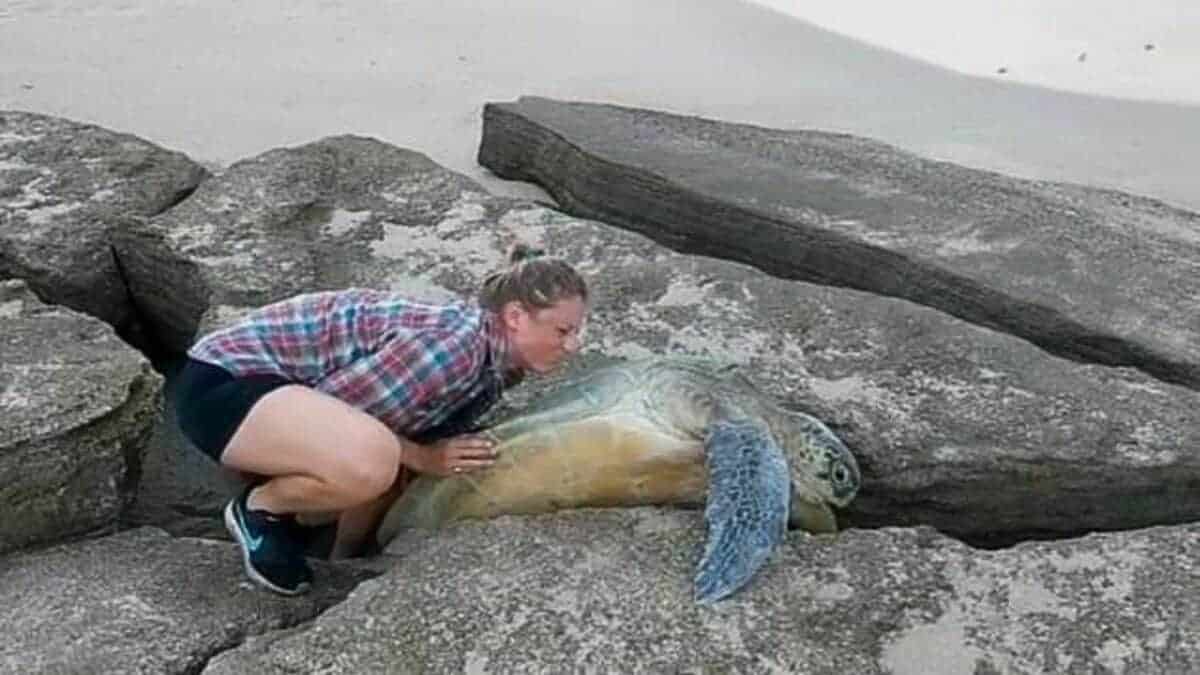 Man Saves Turtle