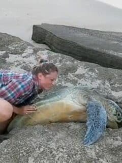 Man Saves Turtle