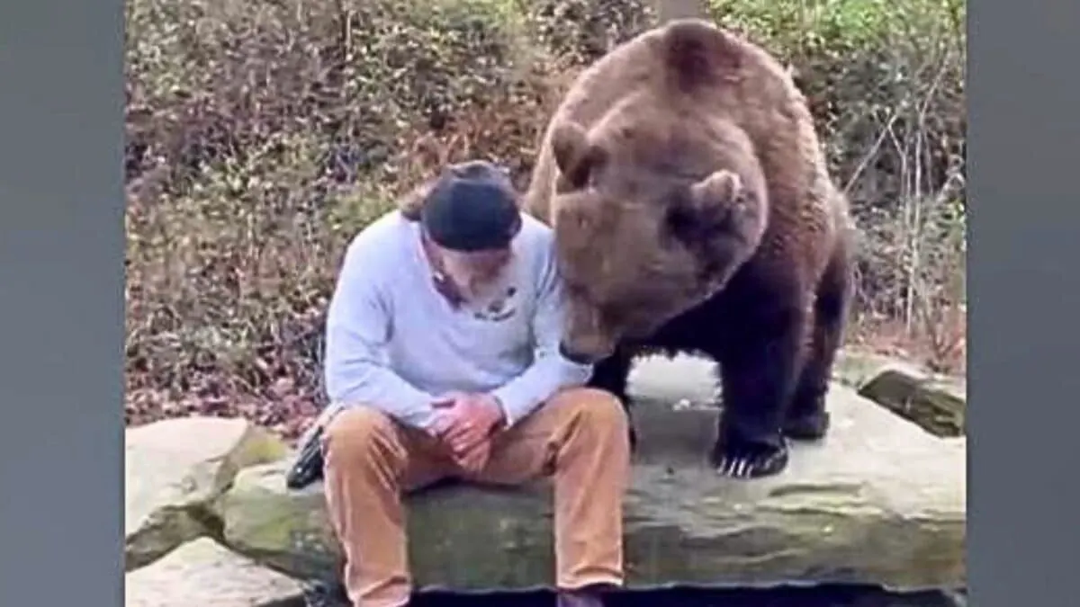 Man Talking To a Brown Bear