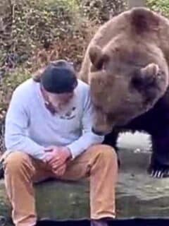 Man Talking To a Brown Bear