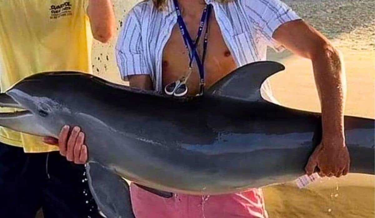 florida teenager kills baby dolphin