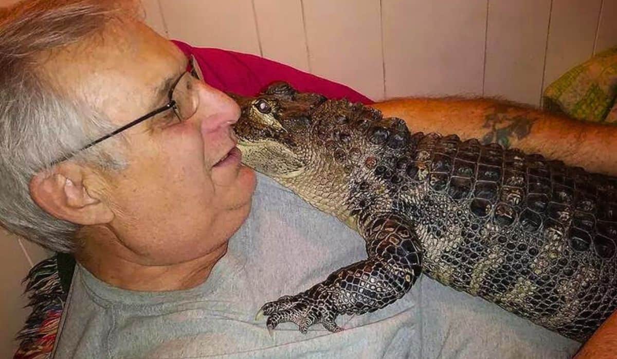this alligator is a licensed emotional support pet