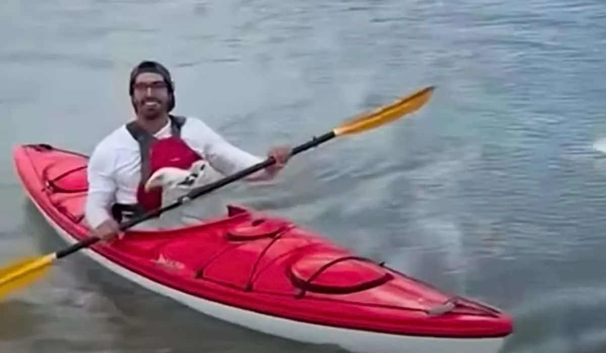 kayaker saves bald eagle