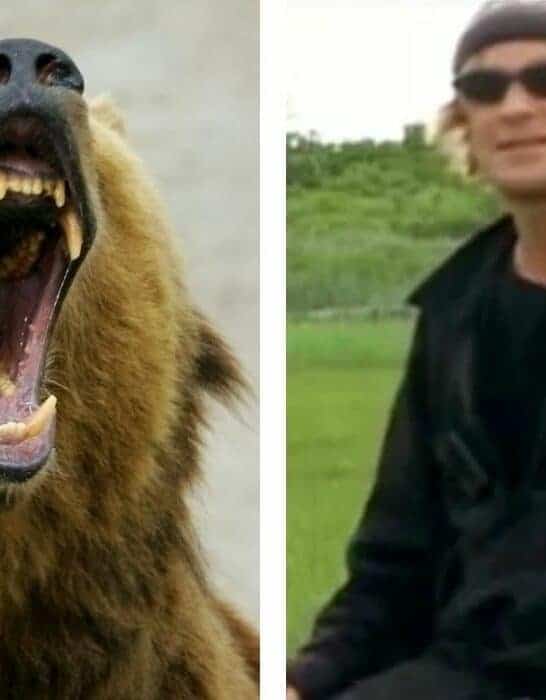 Grizzly Man Eaten Alive After Spending 13 Years Befriending Bears