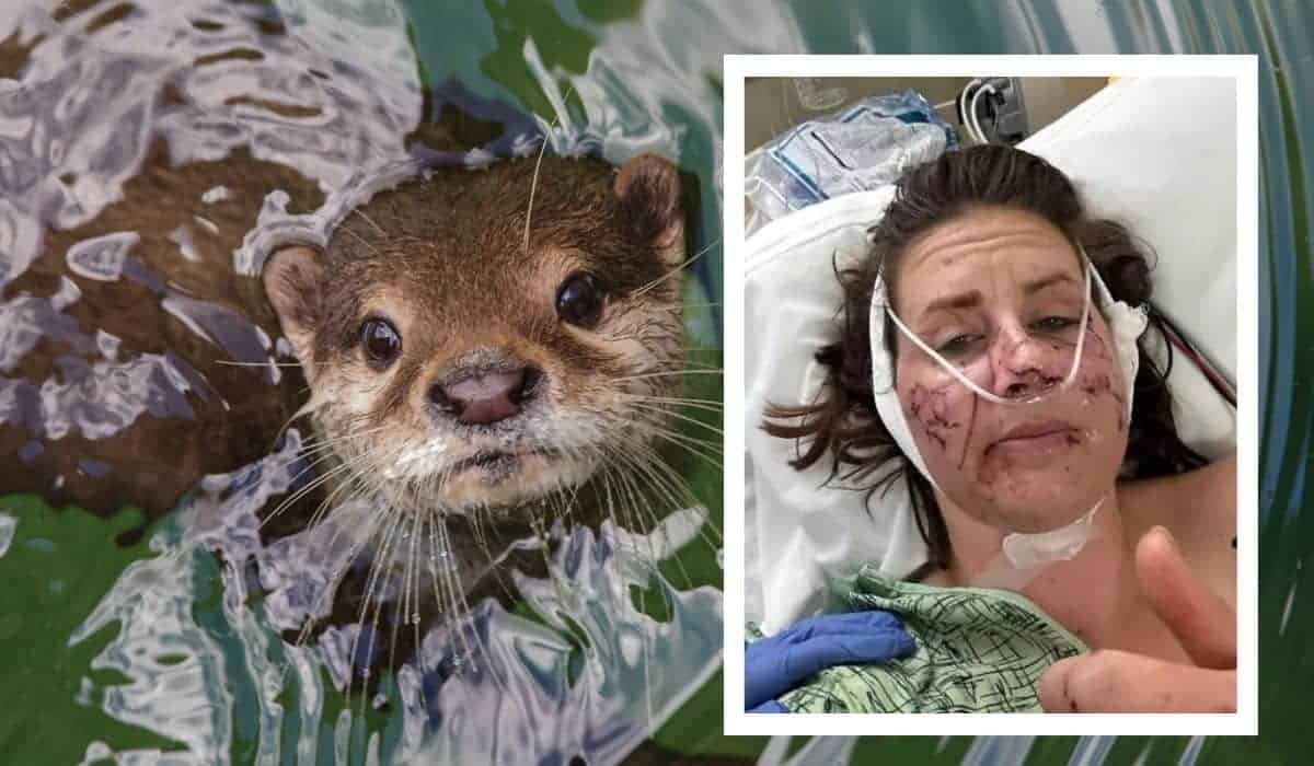 woman survives otter attack