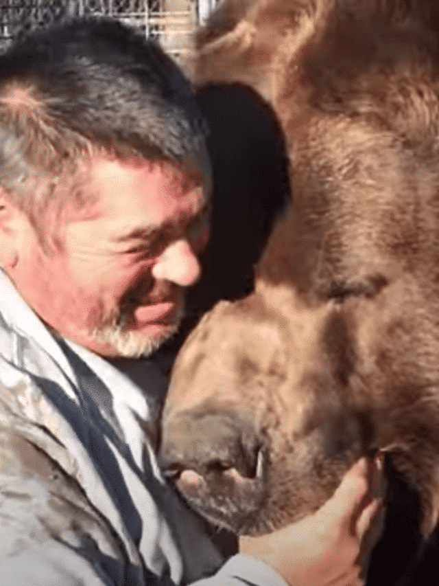 Bear Embraces Man