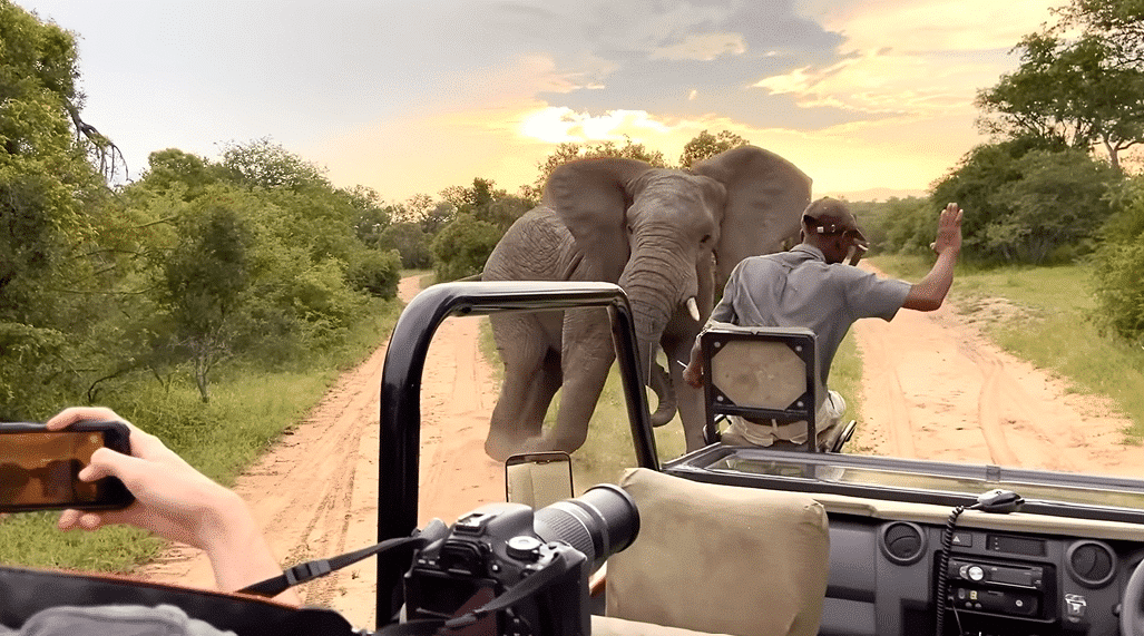 Elephant charging vehicle