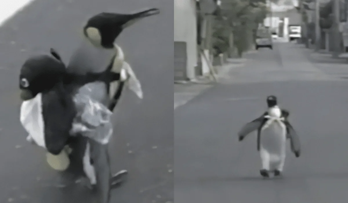 Lala Pet Penguin Loves Shopping (2)