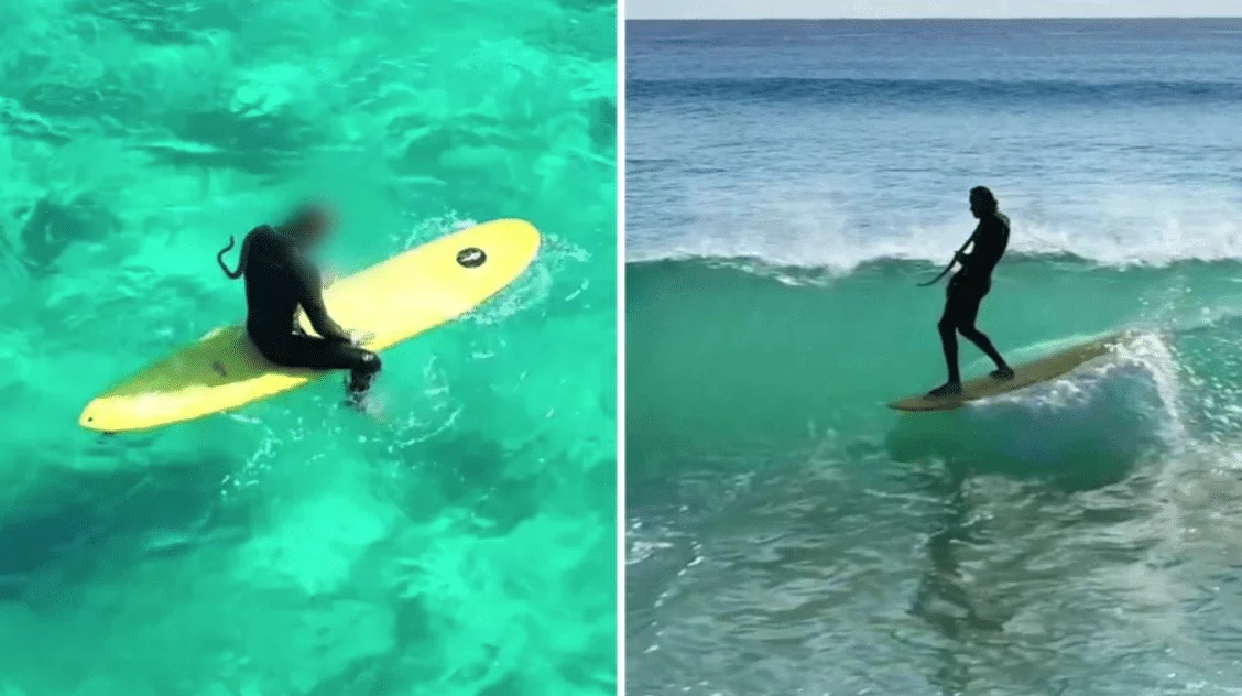 Man takes pet snake surfing in wild video: ‘She loved to be in the water’