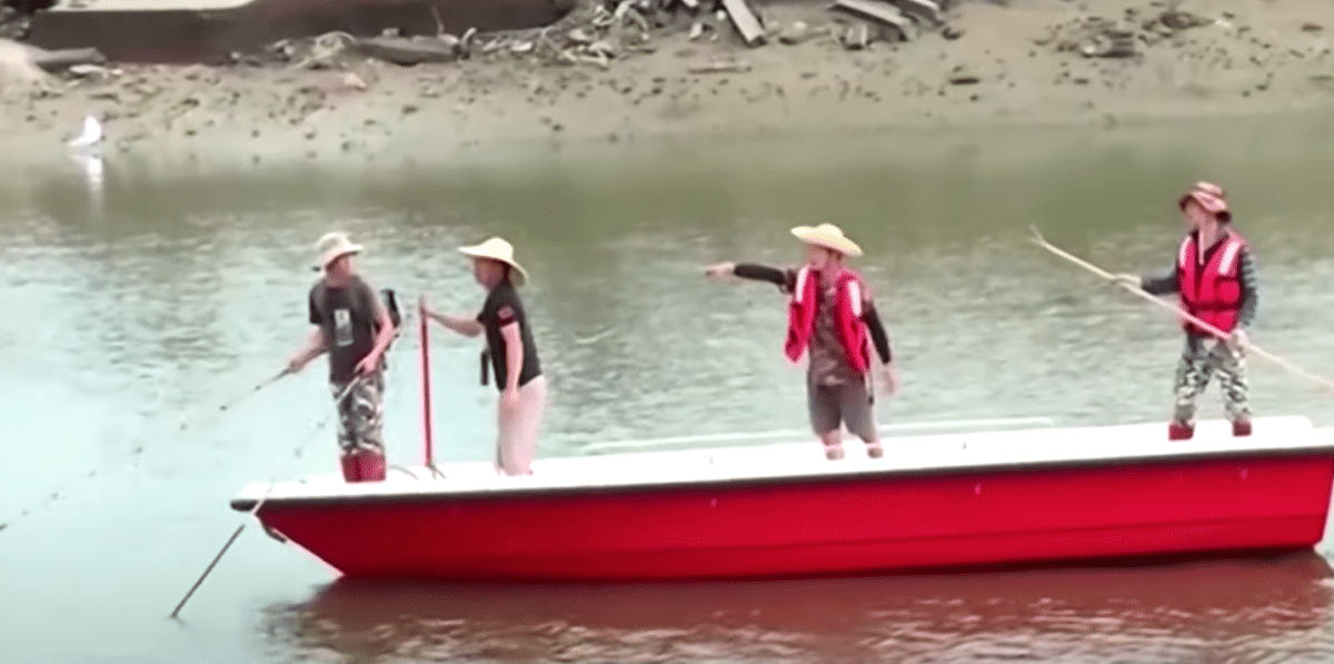 70 crocodiles escape from farm in China

