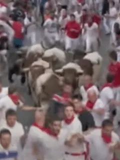 bull running