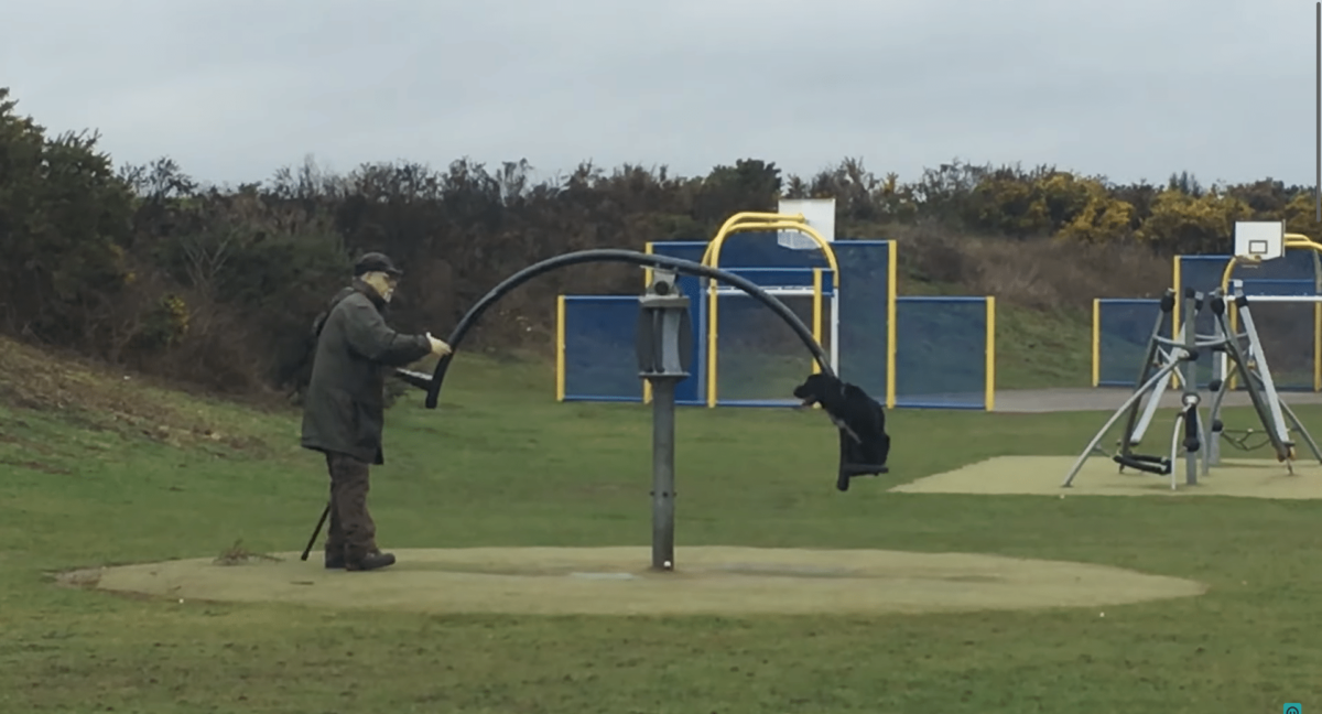 Gentleman Playing With His Dog on Spinning Seesaw