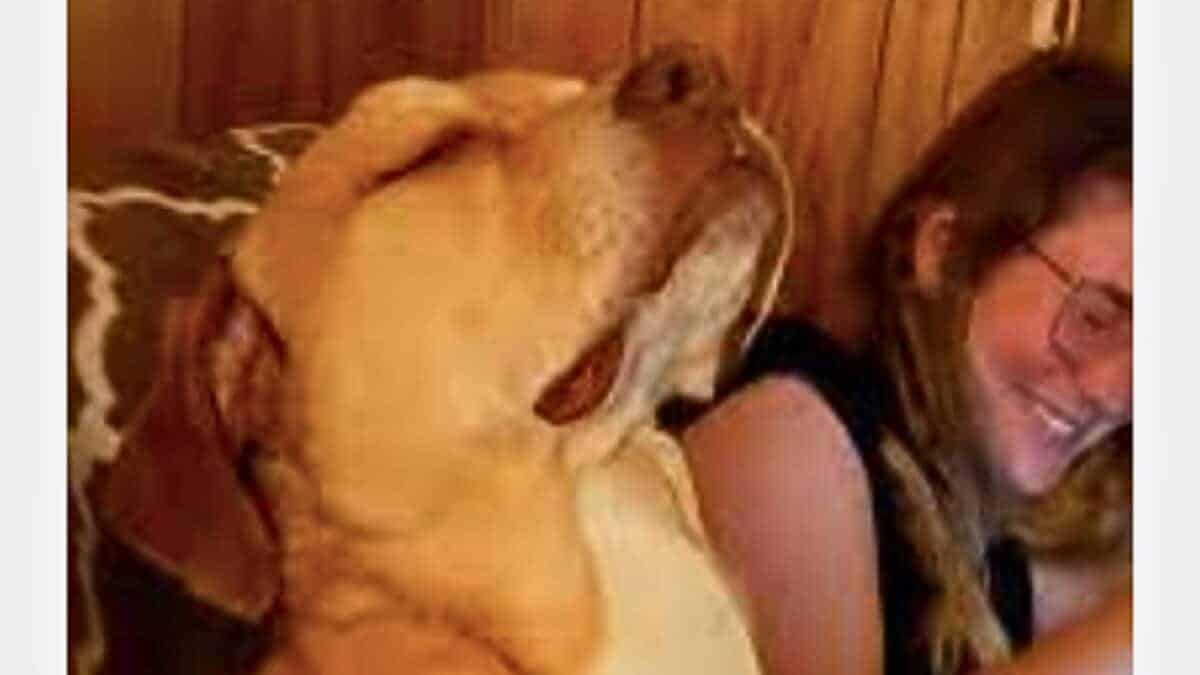 Hilariously Tired Dog Tries Not To Fall Asleep