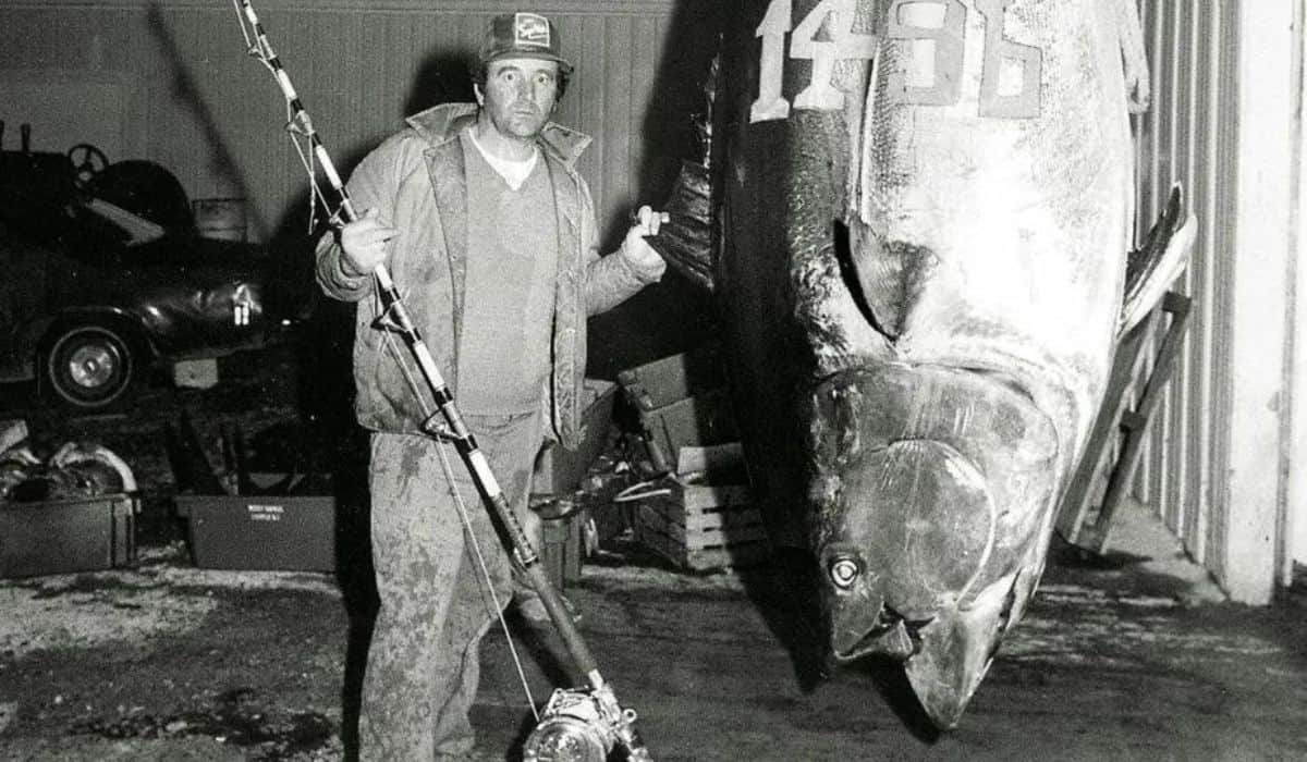 the largest bluefin tuna ever caught
