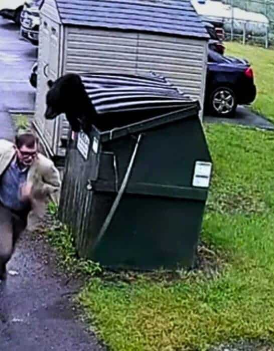 Teacher Finds Bear Inside School Bin In West Virginia