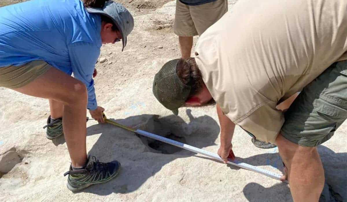 dinosaur tracks revealed in texas