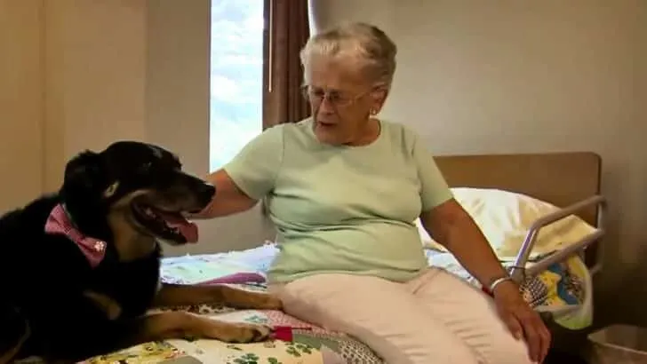Shelter Dog Escapes To Nursing Home That Eventually Adopts Him