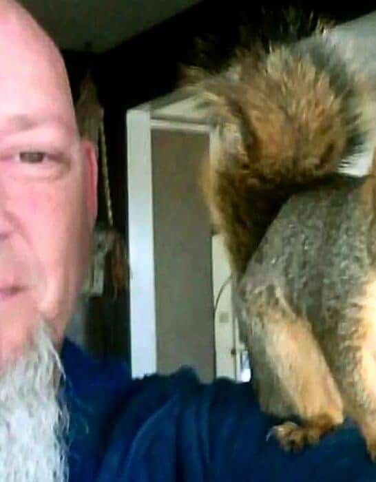 Squirrel Attacks Burglar In Idaho