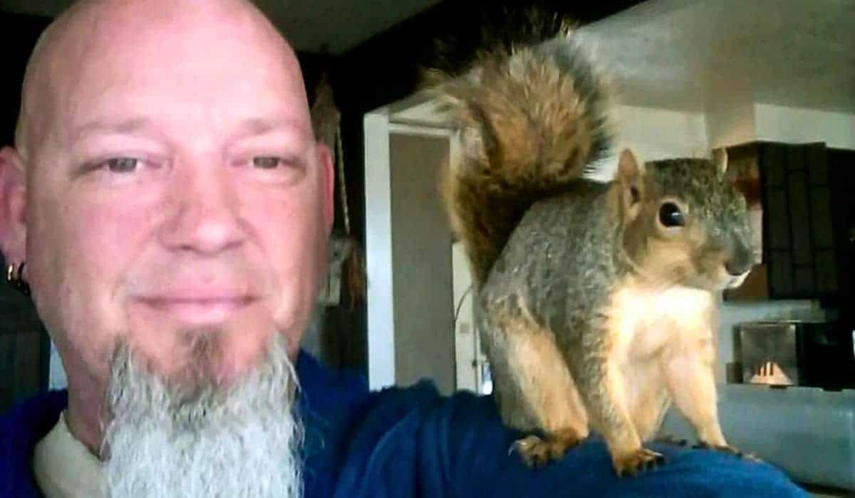 squirrel attacks burglar