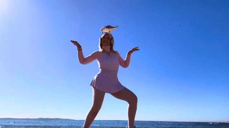 Woman Dances With A Seagull On Her Head