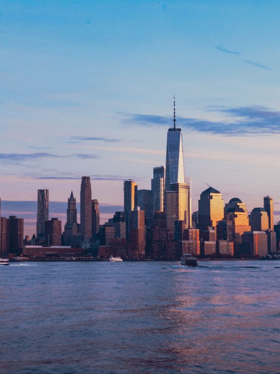 New York Sea Level Rise Endangers Wildlife