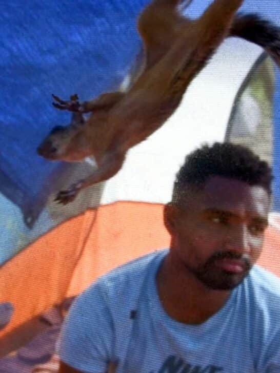 Man fleeing Venezuela inseparable from his pet squirrel