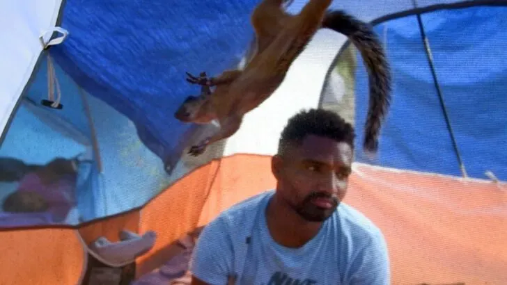 Man fleeing Venezuela inseparable from his pet squirrel