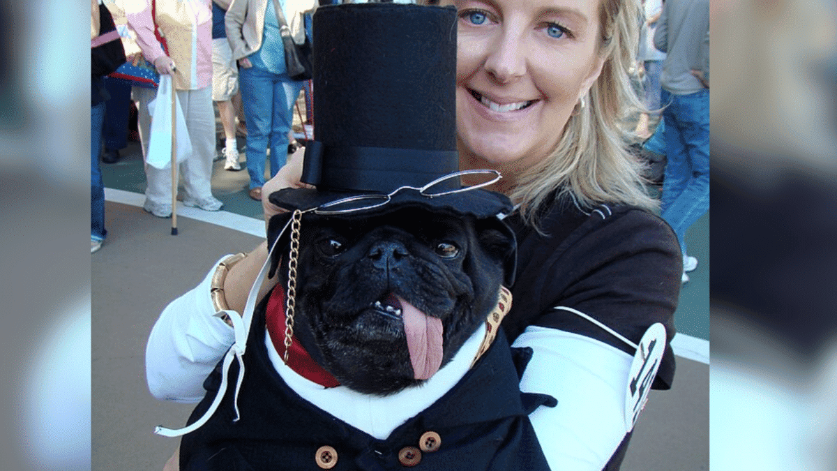 dog dressed in old timer costume