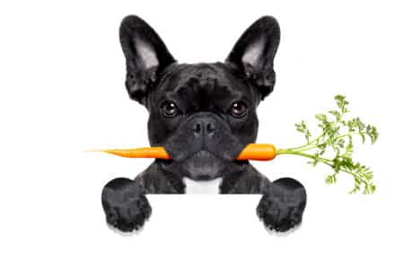 Can Dogs Eat Carrots?