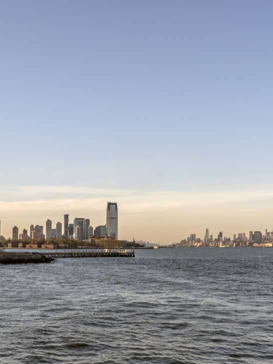 New York City Parks: A Surprising Sanctuary for Wildlife