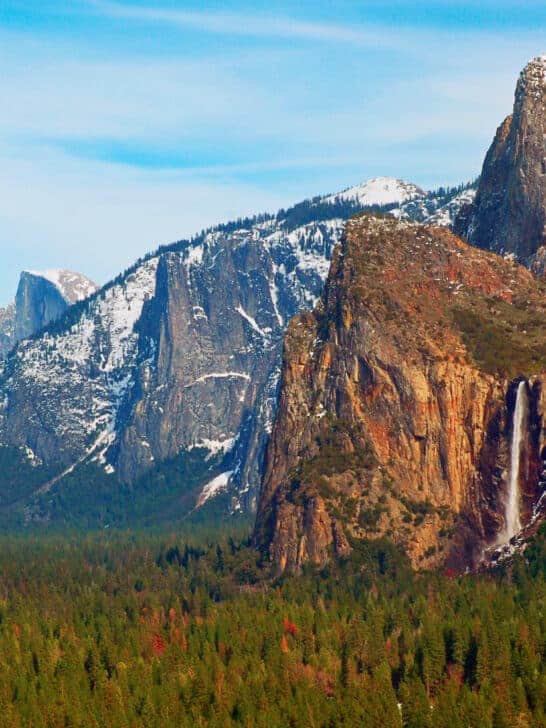 California’s Biodiversity: A State of Remarkable Wildlife