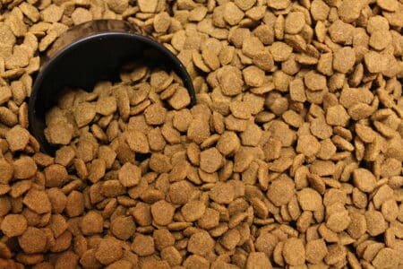 What Can Dogs Eat &ndash; A Complete Dogs Dietary Guide