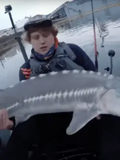 man catches sturgeon fish with barbie rod
