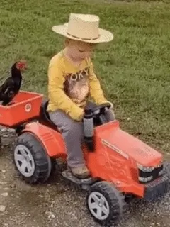 cowboy takes chicken for a ride.