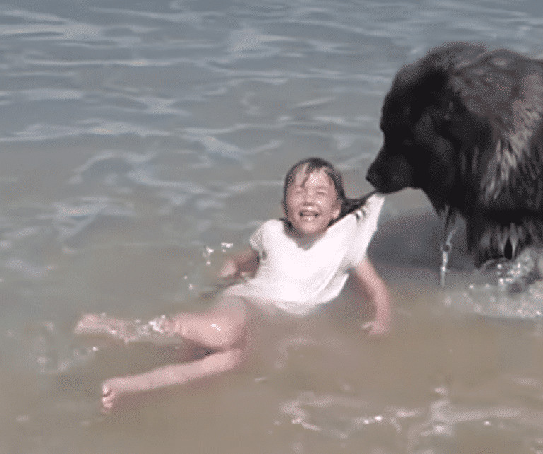 Dog 'Saves' His Little Girl From The Ocean