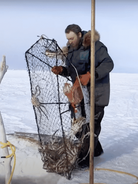 Scientists Uncover The Truth Behind The Alaskan Snow Crab Disappearance